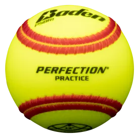 Ballistic Fast pitch Batting Practice Training Softball  